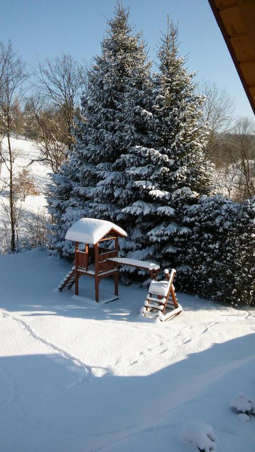 Domki Nad Stawem. Polańczyk Buitenkant foto
